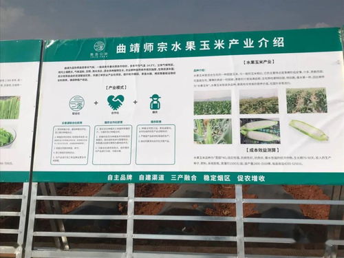 推廣有機肥改良土壤結(jié)構(gòu)，云南國發(fā)助力師宗煙草綠色高質(zhì)量發(fā)展